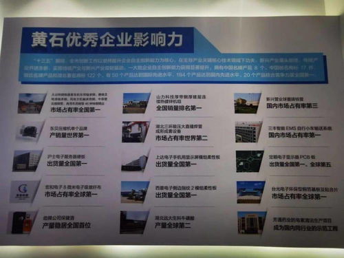 黃石首個(gè)科技中介服務(wù)盛會(huì)武漢開(kāi)幕，搭建區(qū)域科創(chuàng)資源對(duì)接平臺(tái)