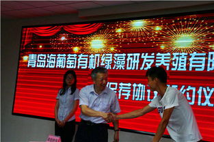千帆蓄勢(shì)，藍(lán)海啟航 2024年科技金融合作發(fā)布會(huì)暨科技中介服務(wù)創(chuàng)新論壇紀(jì)實(shí)